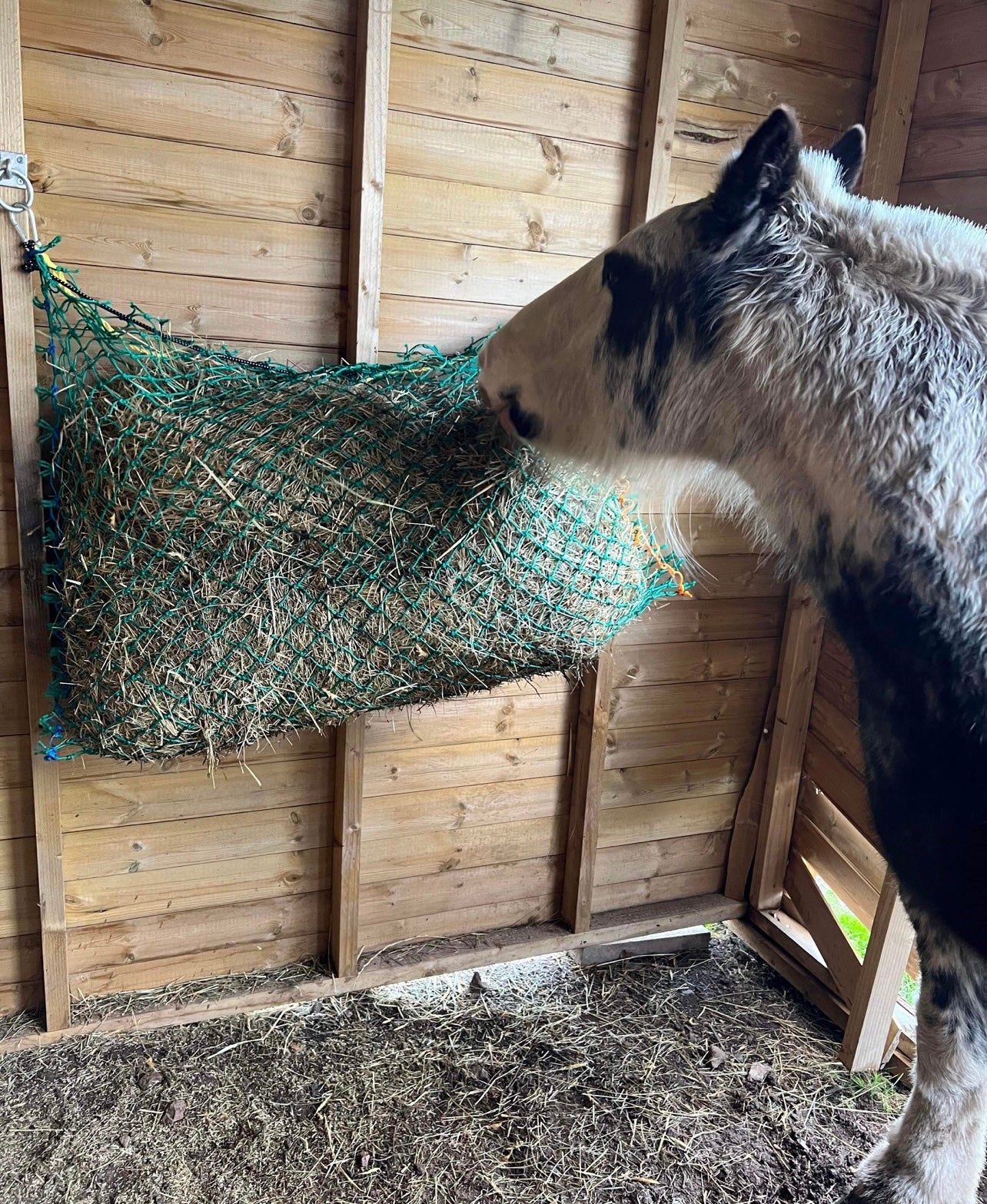 NON SLOW HAY PILLOW