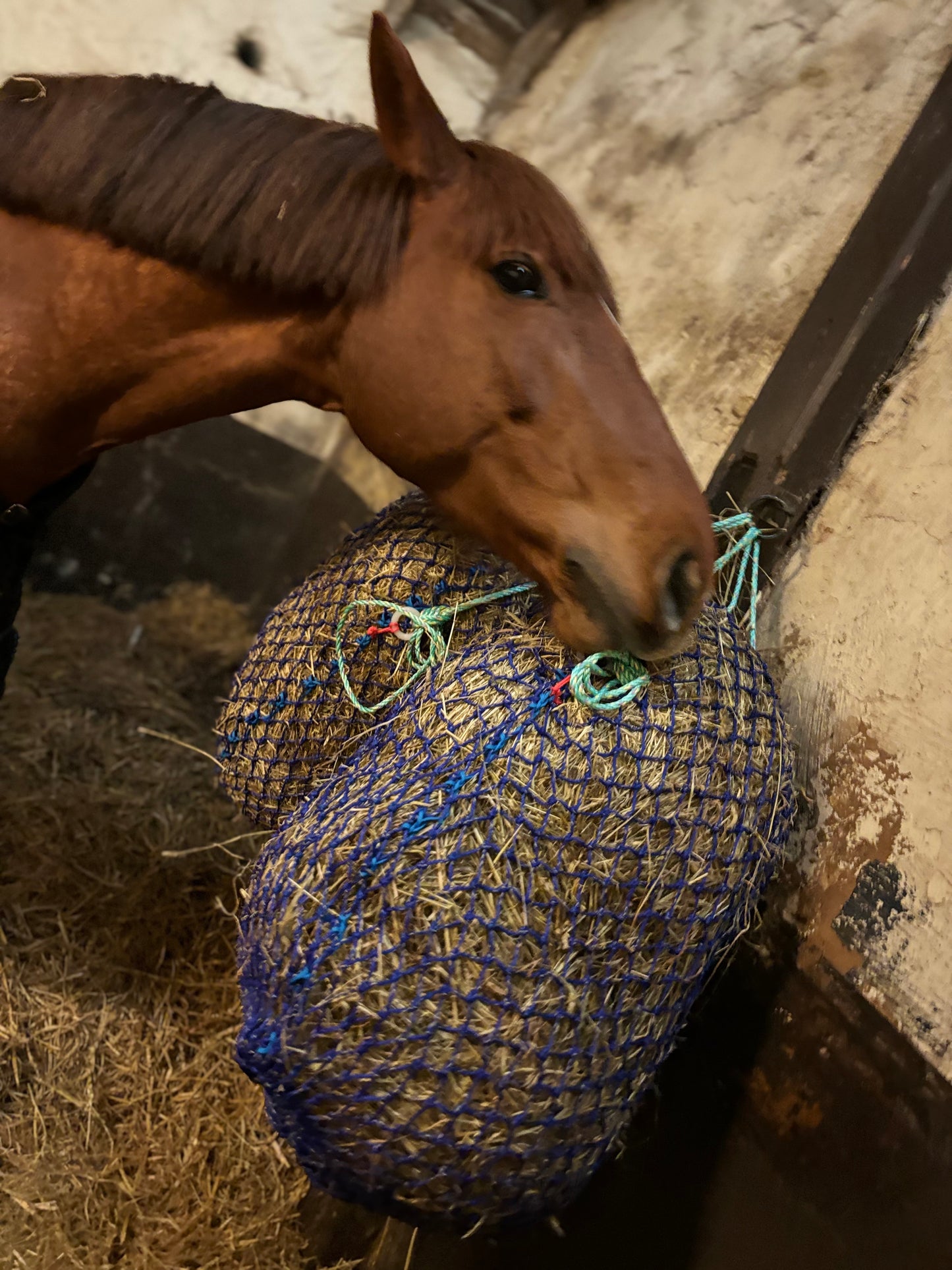 SLOW FEEDER HAYNET 30mm HOLES