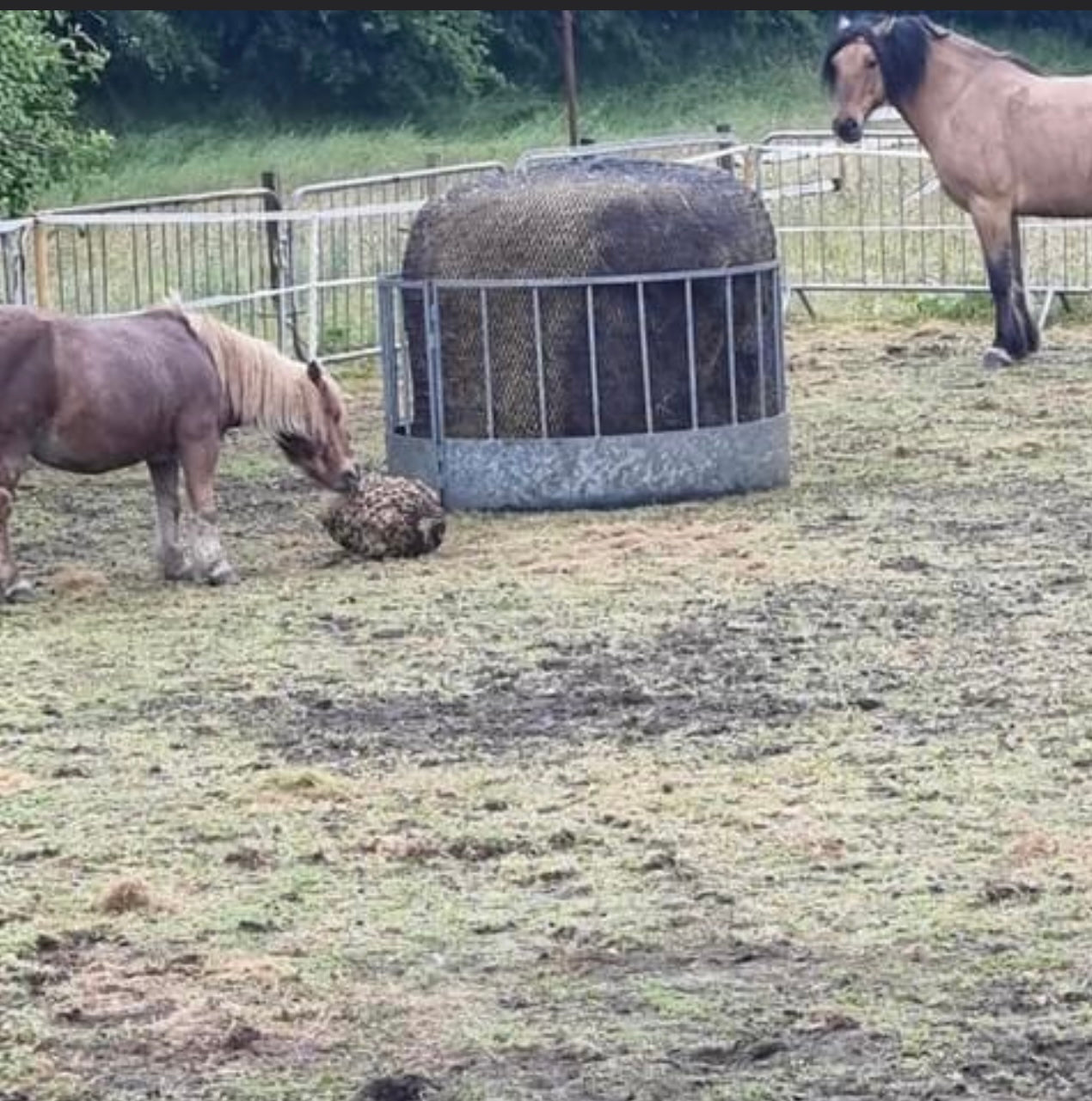 ROUND BALE NETS