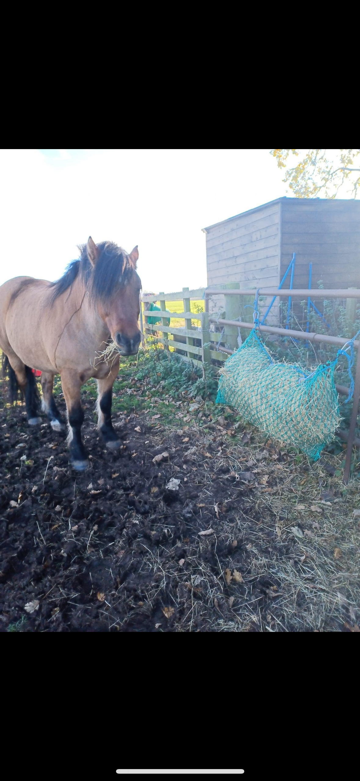 37MM non slow feeder hay bar net